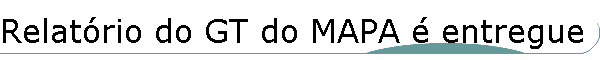 Relat�rio do GT do MAPA � entregue